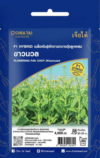 กวางตุ้งดอกขาวนวลF1เจียไต๋SE